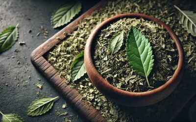 Yerba mate – właściwości, zastosowanie, działanie