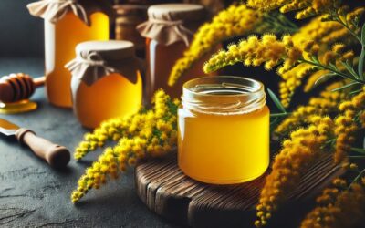 Miód nawłociowy – właściwości, zastosowanie, działanie